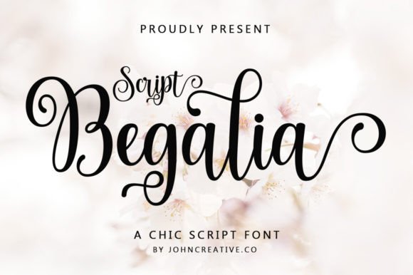 How Choosing the Begalia Script Font Transformed My Brand’s Look