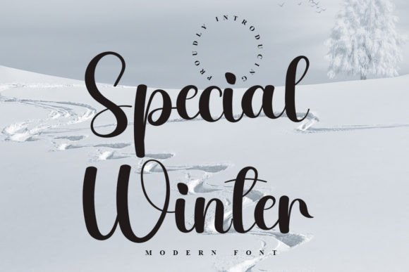 Special Winter Font: Elevating Web Design with Elegant Typography