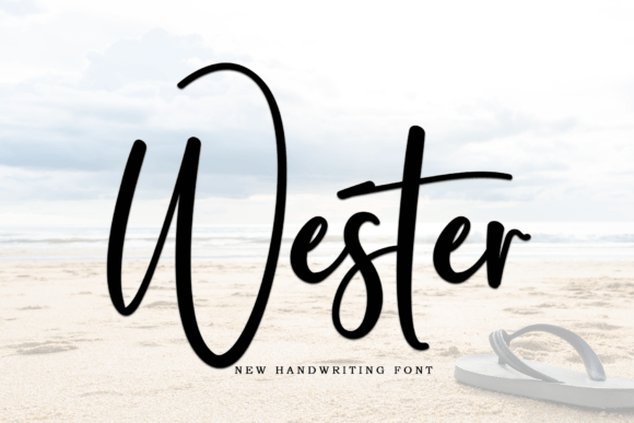 Wester: A Designer’s Honest Review for Real-World Use